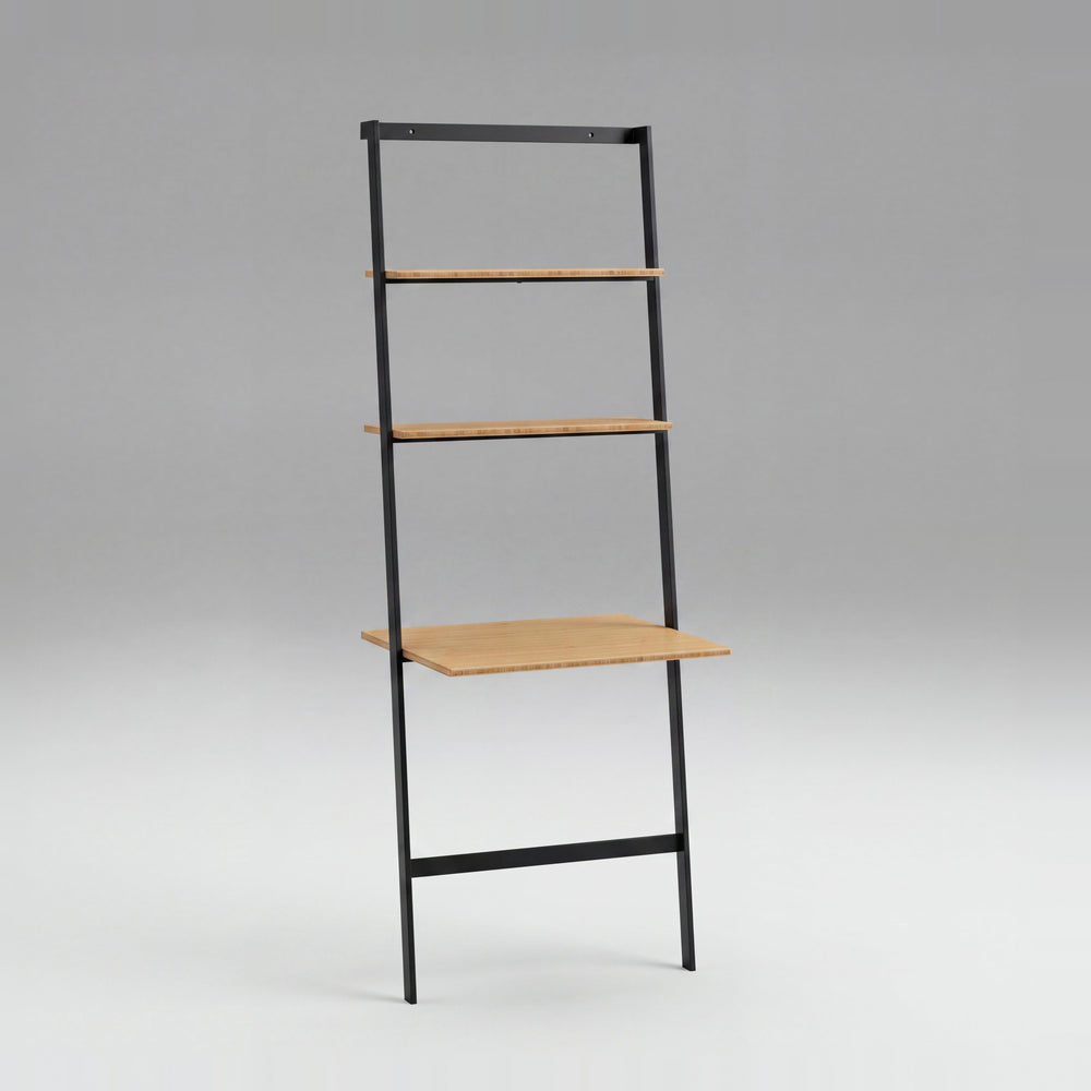 Santa Cruz Leaning Desk