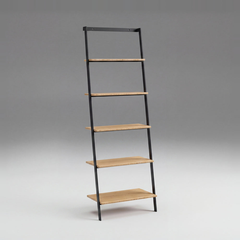 Santa Cruz Leaning Shelf