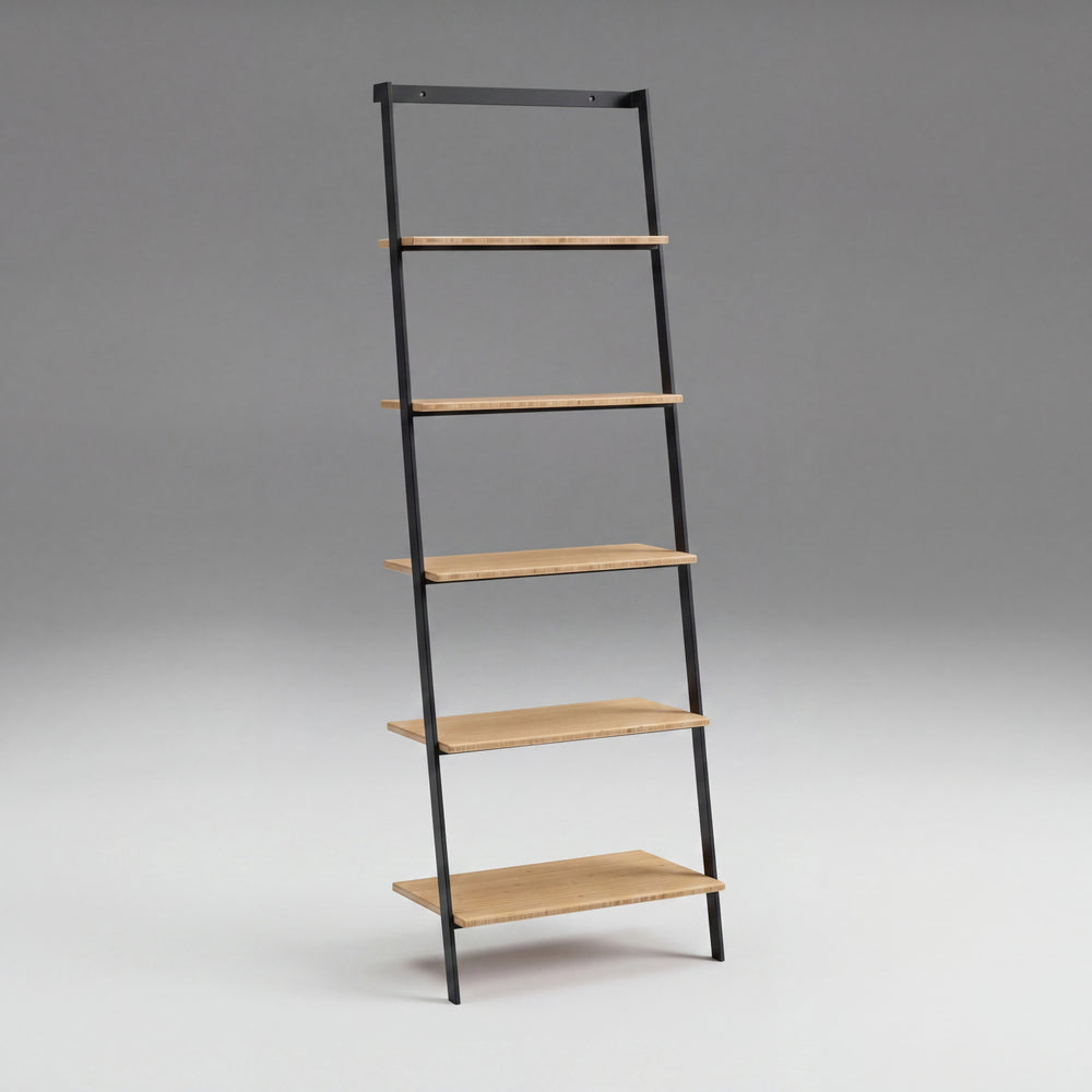 Santa Cruz Leaning Shelf